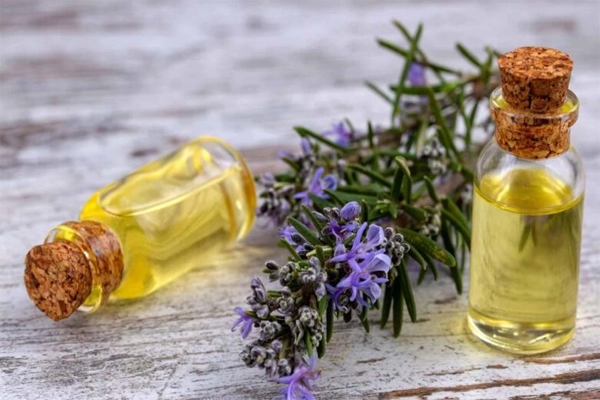 خواص روغن رزماری